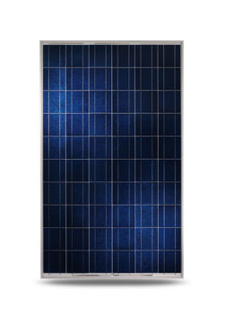Yingli Solar Polykristalline Module