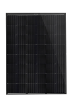 aleo solar Monokristallin Module