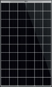 aleo solar x61