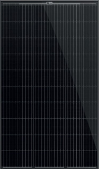aleo solar x81
