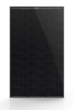 aleo solar Monokristallin Module