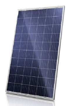 canadiansolar Module