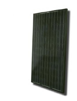 Risen Monokristallin Module