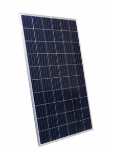Suntech Polykristalline Solar Module